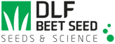 Logotipo DLF