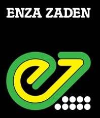 Logotipo Enza